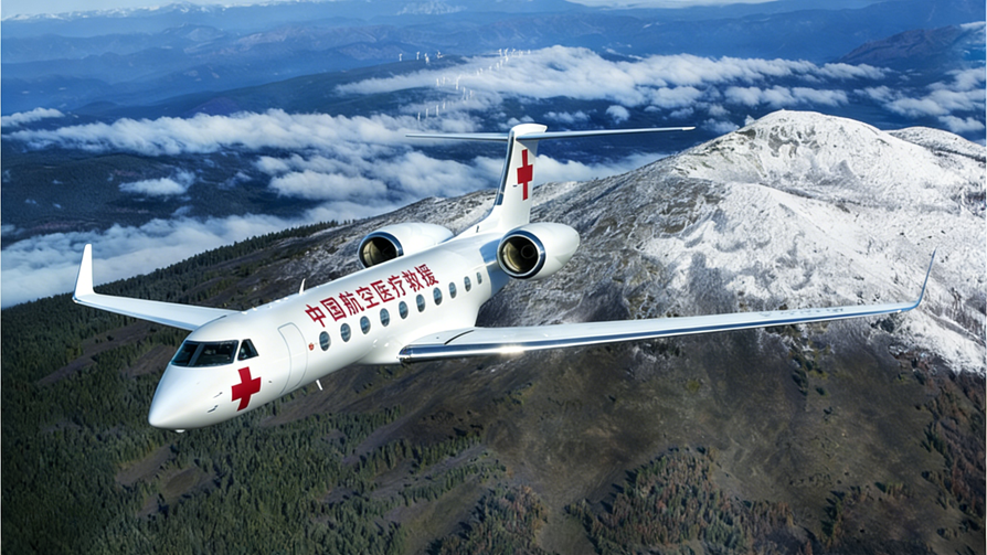 公务机救援 (1)xiao.png